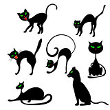 Cats in Different Poses Set