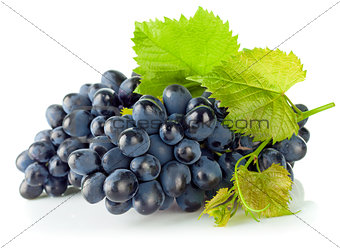 Cluster blue grapes with green leaf