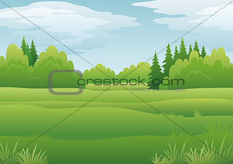 Landscape, summer forest
