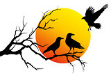 ravens on tree branch, vector