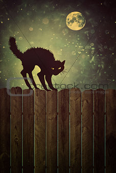 Black cat on fence at  night with vintage look