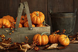 Small pumpkins in wooden box with leaves