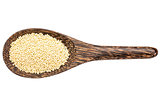 gluten free millet grain