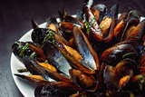 Seafood - Steamed Mussels on white plate