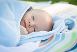 Little Baby Boy Resting in His Warm Blanket