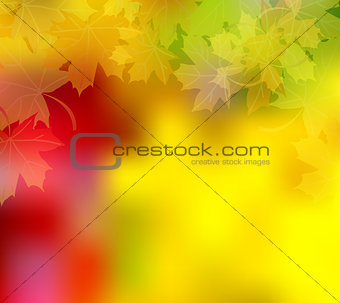 Vector autumn colorful background