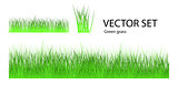 Vector grass set