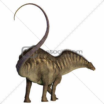 Amargasaurus Dinosaur Tail