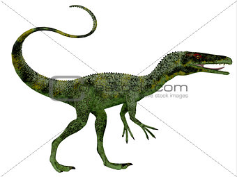 Juravenator Dinosaur Profile