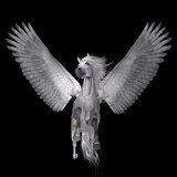 White Pegasus on Black