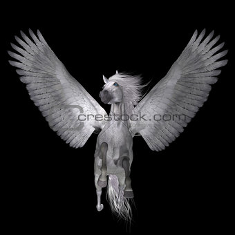 White Pegasus on Black