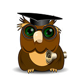Owl scientist