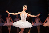 Prima ballerina white swan