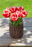 Colorful tulips on garden table