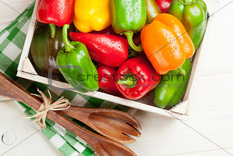 Fresh colorful bell pepper