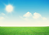 Endless green grass field and blue sky with clouds