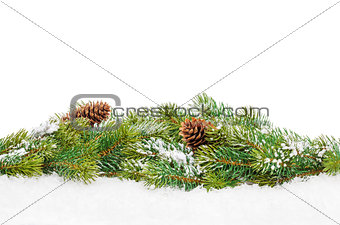 Christmas fir tree with snow