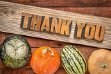 Thank you in fall haliday decoration
