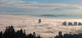 Portland Cityscape Covered in Morning Fog