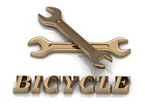 BICYCLE- inscription of metal letters and 2 keys 
