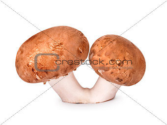 double mushroom champignon isolated on white background