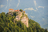 Detail of Bled Castle in Slovenia