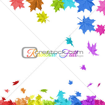 Rainbow Maple Leaves