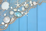 Seashell Collage 