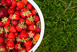 Pail of fresh strawberries on green grass
