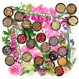 Medicinal Herbs and Flowers 