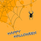 Halloween background with spider