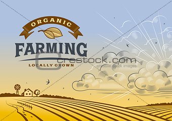 Organic Farming Landscape