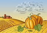 Pumpkin harvest landscape black and white