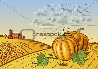 Pumpkin harvest landscape black and white