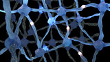 Neuron cells system net