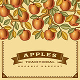 Retro apple harvest card
