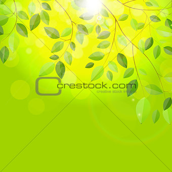Shiny Spring Natural Leaves Background. Vector Illustration