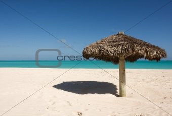 lone thatched sunshade