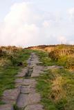 Roman Road on Harden Moor