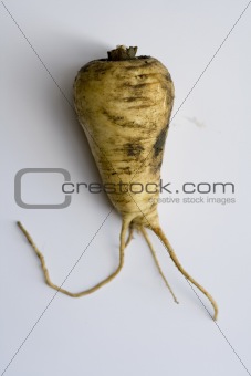 Weird Parsnip and roots