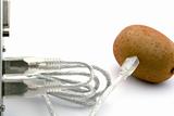 The kiwifruit connected through usb cable