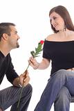 couple in love sharing a rose isoalted on white