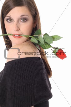 sexy brunette with rose in her mouth