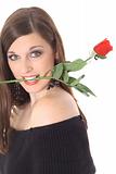 brunette with a rose in her mouth isolated on white