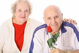 elderly couple in love with rose