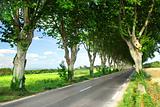French country road