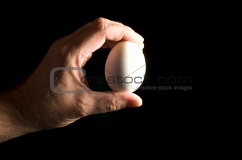 Hand and Egg