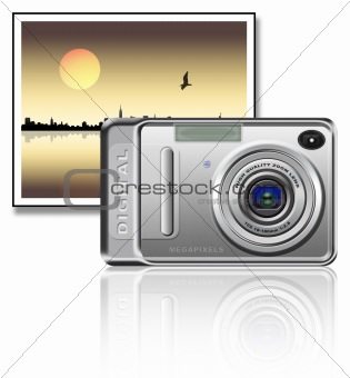 Camera and picture