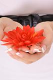 shot of beautifully manicured hands holding a flowers vertical