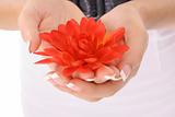 shot of beautifully manicured hands holding a flowers